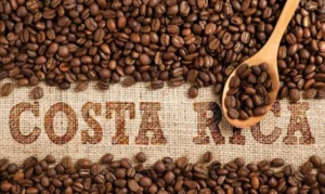 A Spectacular Bean That Shaped A Nation: Costa Rica, Coffee Beans And 6 Active Volcanos