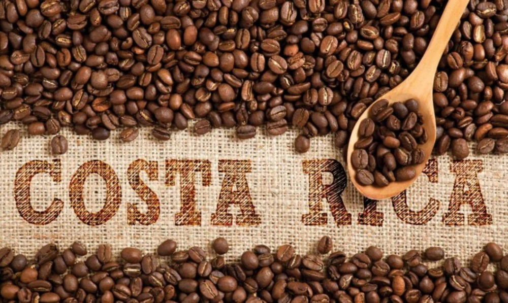 costa rica coffee