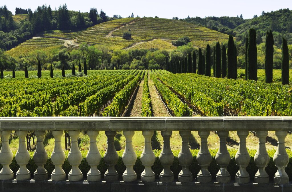 Be Coastal Magazine Santa Cruz: 15 Unexplored But Uncompromising Wineries With Zero Pretention santa cruz