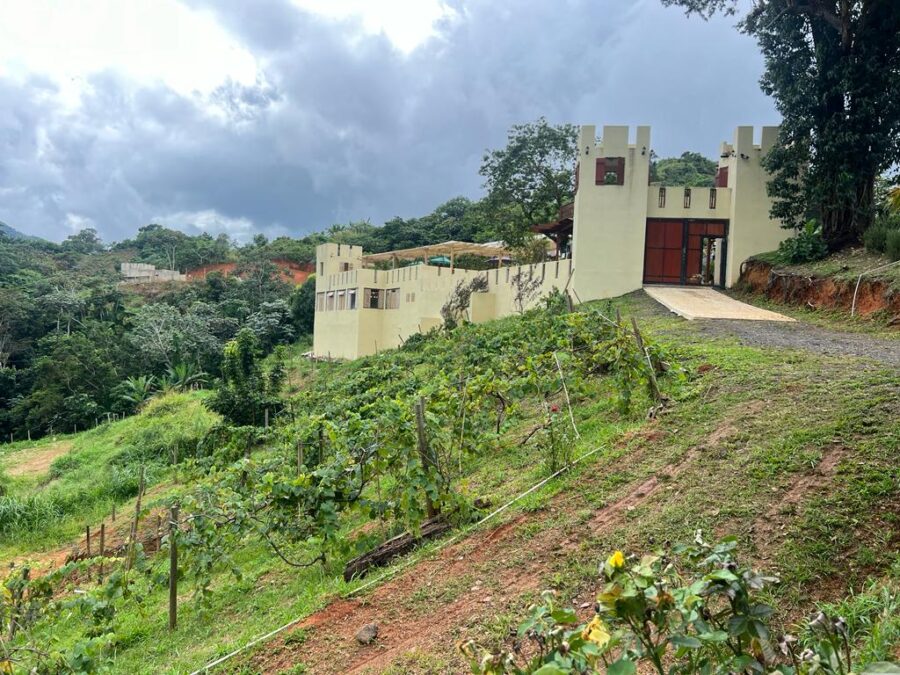 Puerto Rico winery on hillside