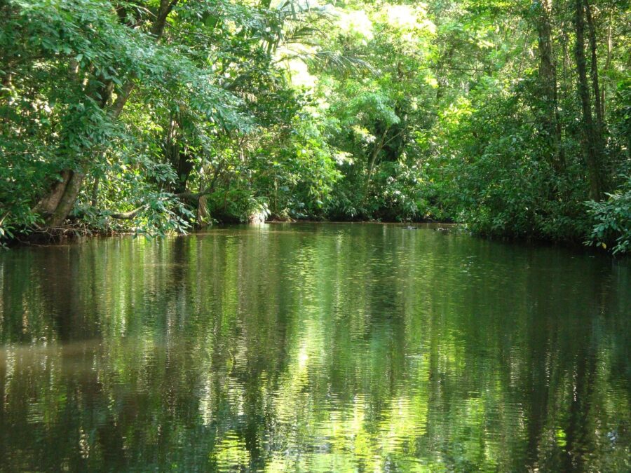 Be Coastal Magazine Costa Rica’s UNESCO Sites: Wild Adventures and Ancient Vibes unesco
