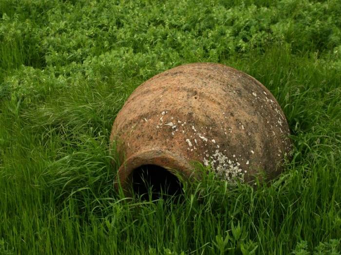Kvevri Wine Jug in filed of green grass, invented wine