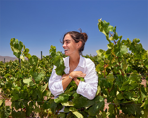 Be Coastal Magazine In the Vines with Chile’s Women Winemakers chile's women winemakers