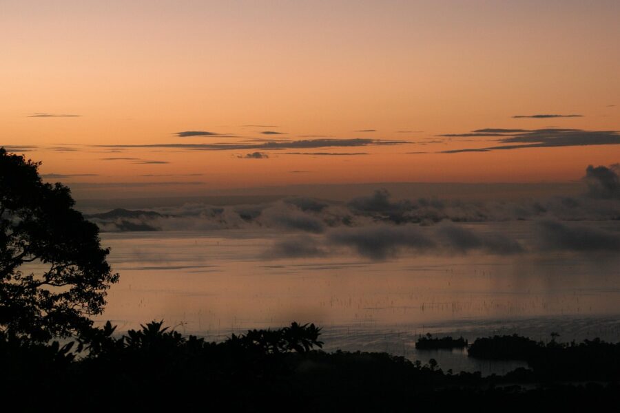 sunset above the rainforest canopy in Suriname