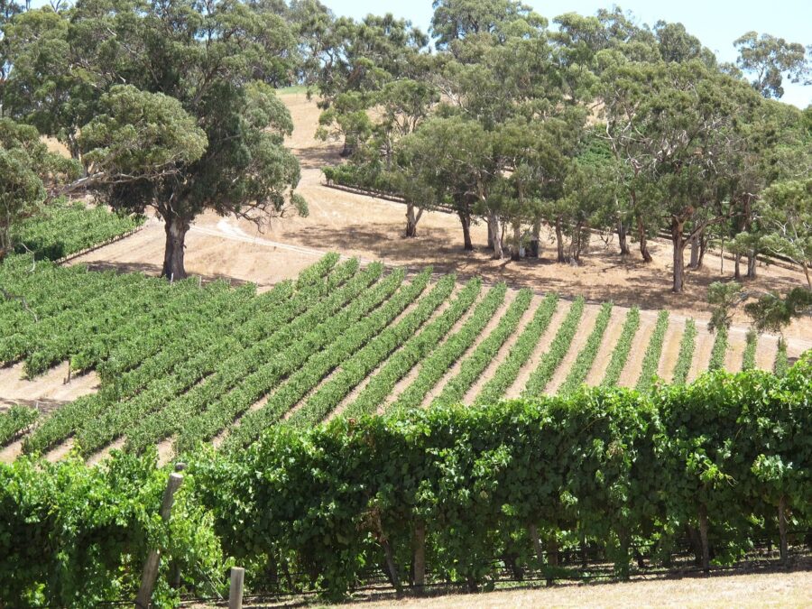 Longview Winery, Australia, New South Wales